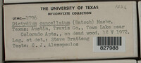 Image Associated With the Occurence